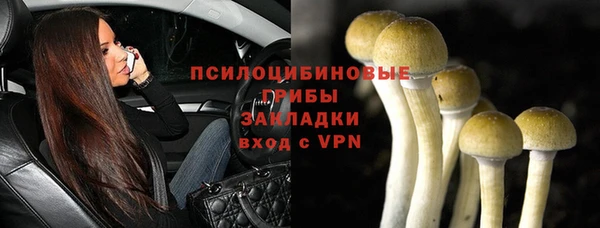 2c-b Медвежьегорск