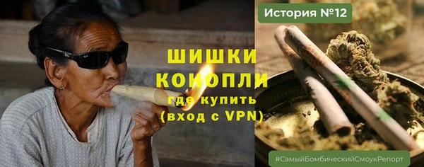 прущие грибы Тавда