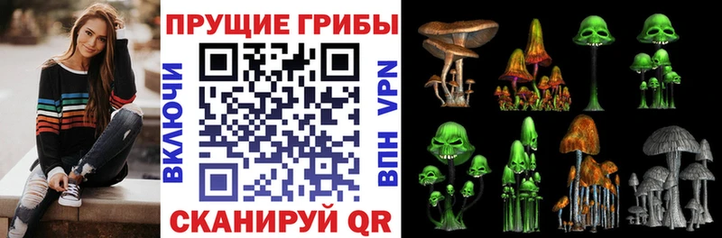 Галлюциногенные грибы Magic Shrooms  купить   Любань 
